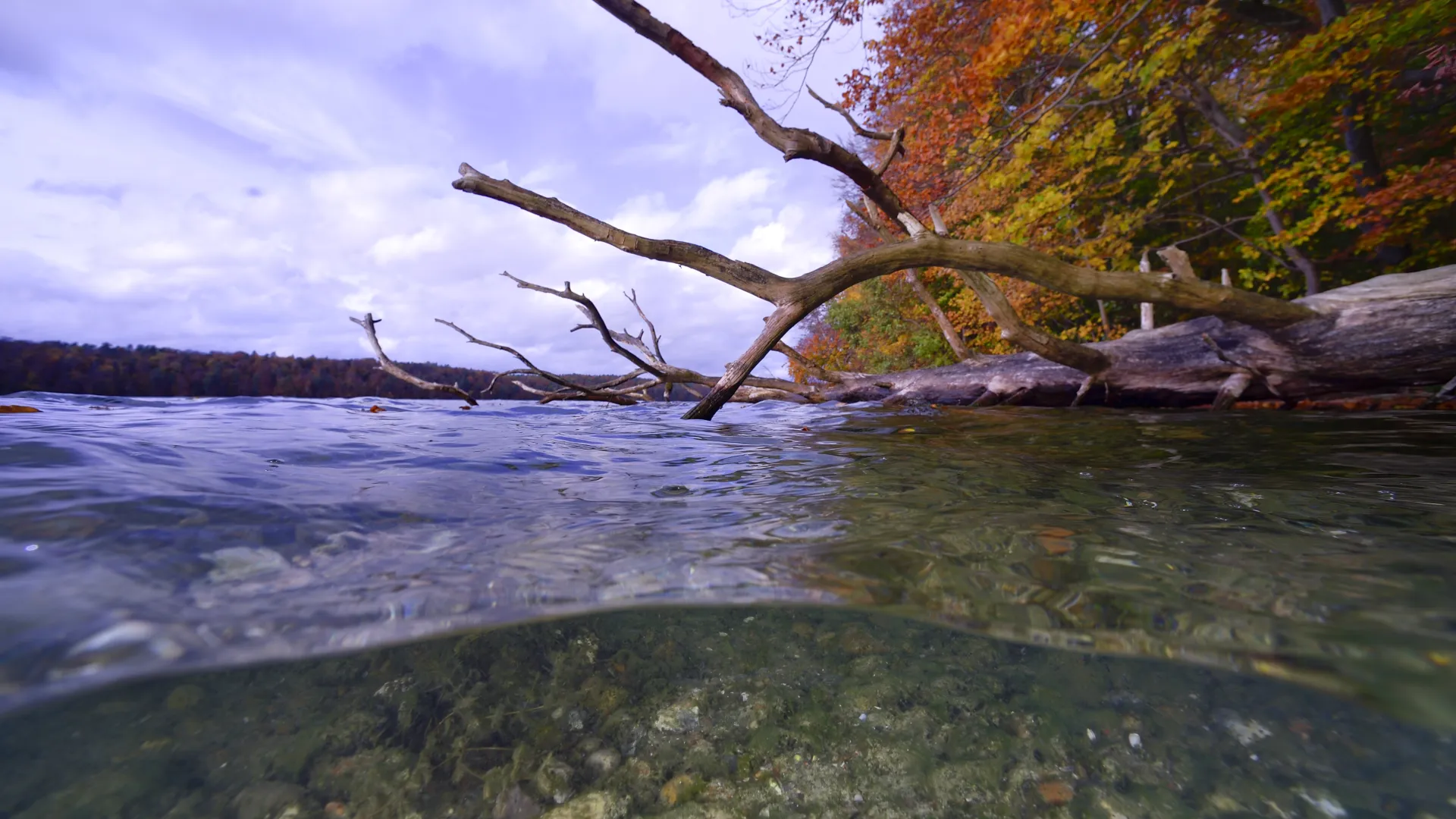 Flussbild-Original-vom-IGB-Solvin-Zankl-20201028_151035-2